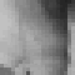 Falko79