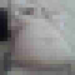 Rubens_SM