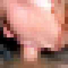 Toddel