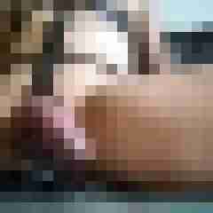bipr37