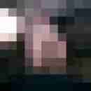 wolf_1b