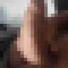 johnnijohnjohn