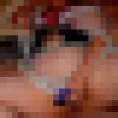 Toddel