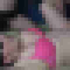 eromedia