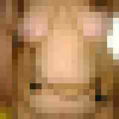 Eve-Steve