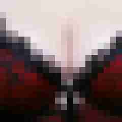 Lavoo