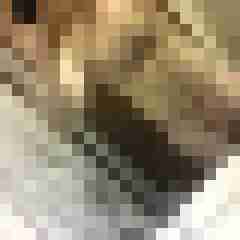 Hutzfeld