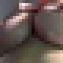 picturefreak