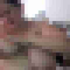 picturefreak