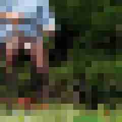 Haumphrey
