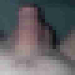 Frankofrank