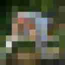 chris_iris