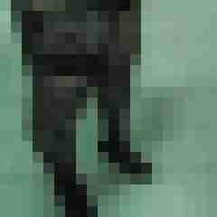truckinnylons