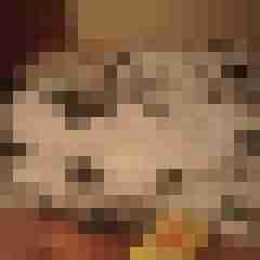 TomGriep