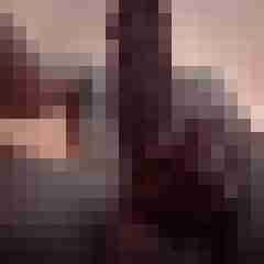 biinHX