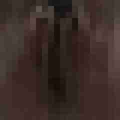 Lavoo