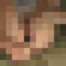 Randy84