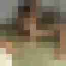 Randy84
