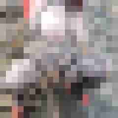 Nylongeiles_Paar