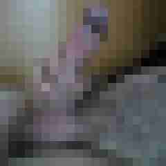 werter6