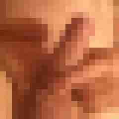 Elkiez