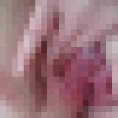 Bbw-Stute