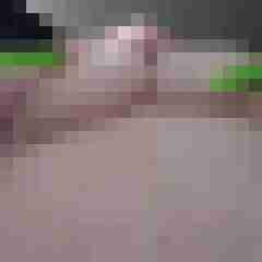 Bbw-Stute
