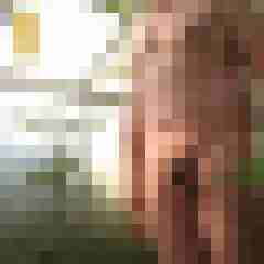 cock01
