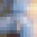 dwt-geiler