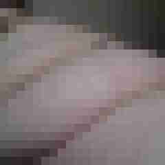 Bbw-Stute