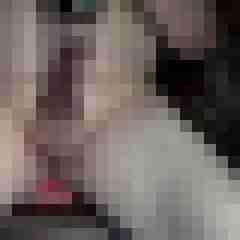 morits5m2
