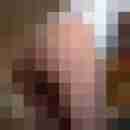 hengst1234