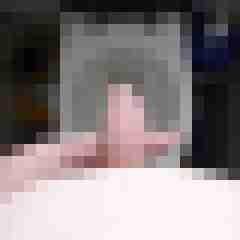 DeinBiDiener