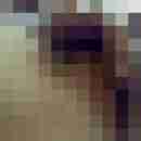 Princexxx