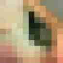 dwt-geiler