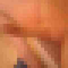 patte83
