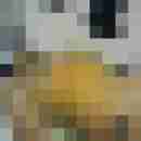 Dwt_Sabine_61