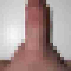 funratte