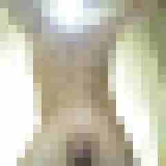 allcloff