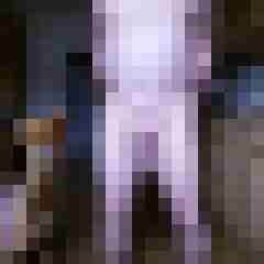 pimperion