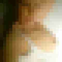 Mistbiene