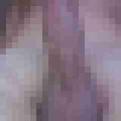 Voliminal