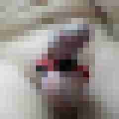 XDannyX82