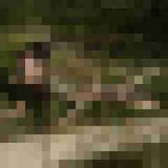 Phorus