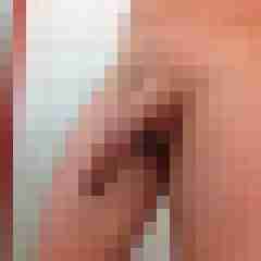 Tal25
