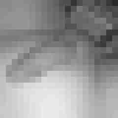 patte83