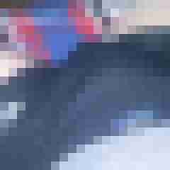 patte83