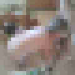 gerrycn