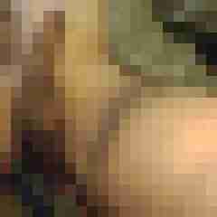 asccnb