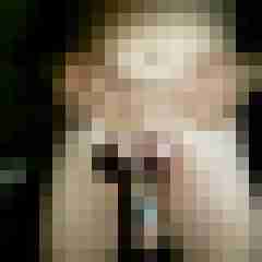 pimperion
